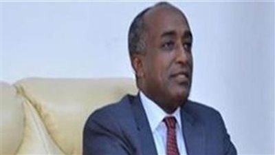  مصر تدعو المستثمرين اليابانيين للاستثمار في المنطقة الاقتصادية لقناة السويس للاستفادة من مزاياها