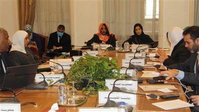 الدكتورة مها بخيت: وضع قواعد للتعاون بين الدول العربية بمجال حماية حقوق الملكية الفكرية  