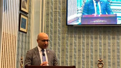 النائب علاء مصطفى يتقدم باقتراح برغبة بشأن إنشاء مرصد الخدمات الرقمية الحكومية 