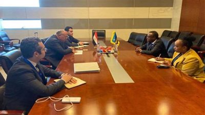 شكري يؤكد لنظيره الرواندي حرص مصر على دفع العلاقات الثنائية قدما