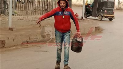 حملات مكبرة لرفع القمامة من شوارع كفر الشيخ 