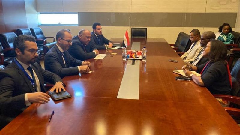 وزير الخارجية و قيادة