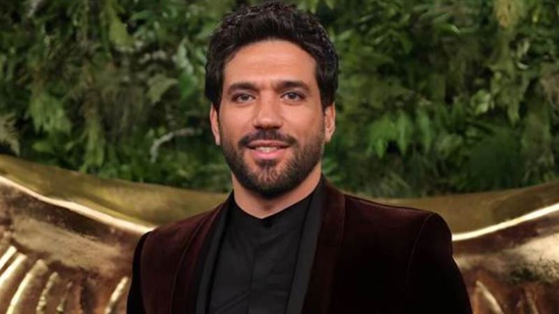 الفنان حسن الرداد