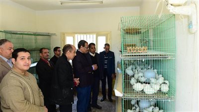رئيس جامعة سوهاج يتفقد مزرعة الإنتاج الحيواني والدواجن بالكوثر