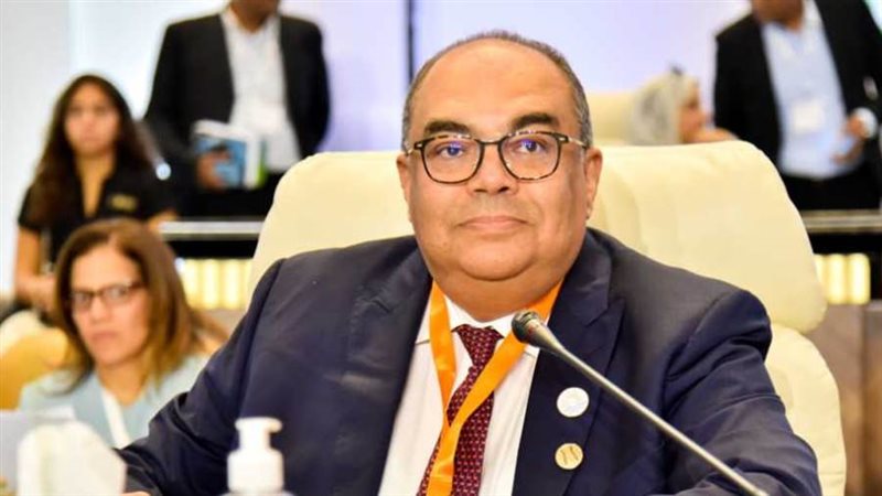 الدكتور محمود محيي