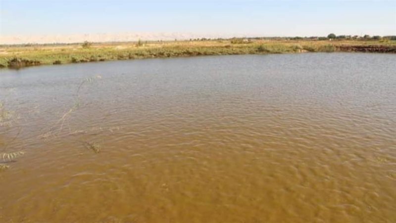 استعدادات لزراعة