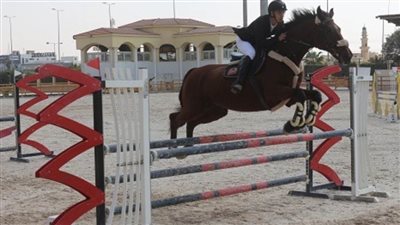 إشادات واسعة بتنظيم الحلقة السابعة من بطولة الجمهورية للفروسية