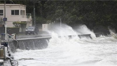 ارتفاع عدد قتلى الإعصار جابرييل بنيوزيلندا إلى 11