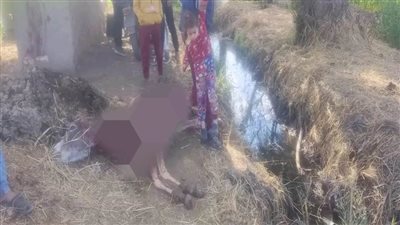 بيطري الشرقية يعلق على واقعة العثور على حمير مسلوخة بالزقازيق 