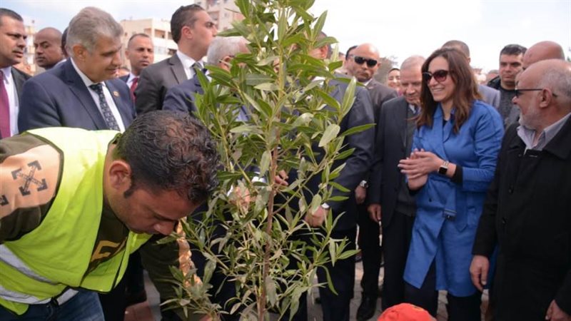 اصطفاف 45 سيارة تضم