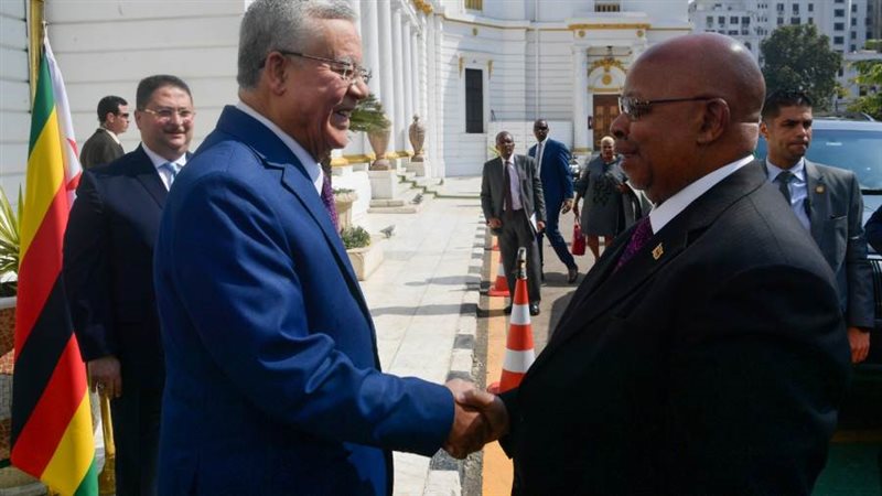 المستشار الدكتور