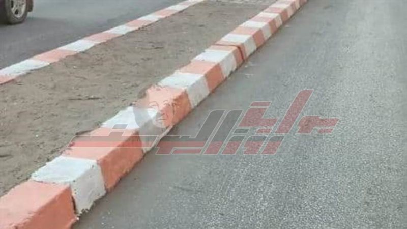 حملات نظافة ودهان