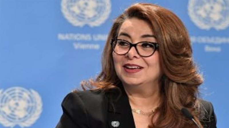 د. غادة والي مدير