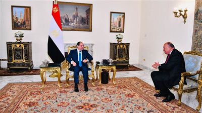 شكرى يطلع الرئيس السيسى على أهم نتائج القمة الأخيرة للاتحاد الأفريقي