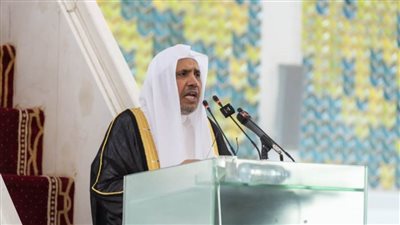 أمين عام رابطة العالم الإسلامي يؤكد قوة العلاقات المصرية السعودية