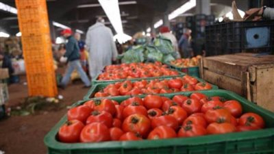 المغرب تقلص صادرات الطماطم إلى أوروبا قبل حلول شهر رمضان