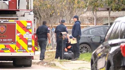 كلاب أمريكية تقتل مسنًا وتصيب عجوزًا ورجل إطفاء.. وسلطات التحقيق تحدد الجناة