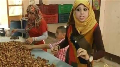 الوادي الجديد تتوسع في فتح أسواقها التصديرية وتُنهي تصدير آخر شحنة تمور محلية للأسواق الكندية