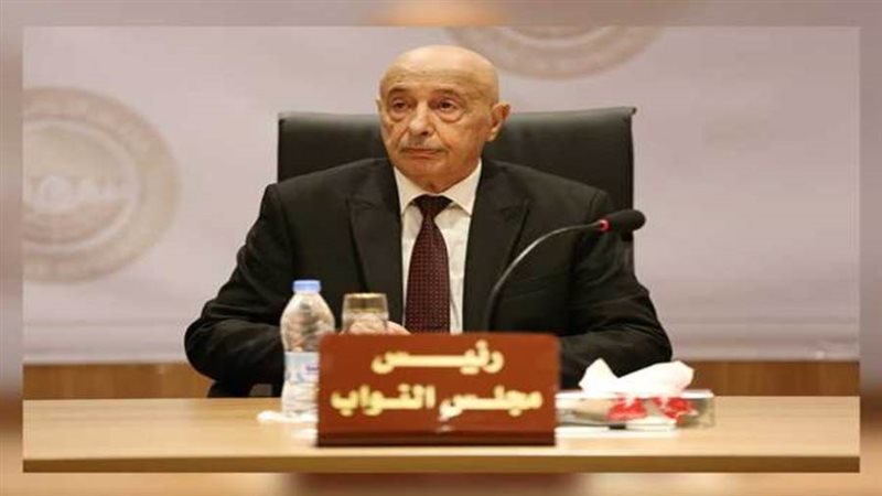 رئيس مجلس النواب