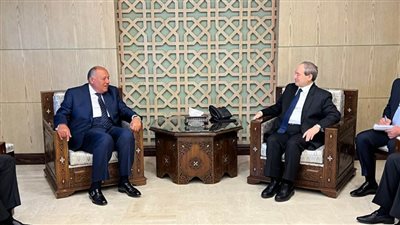 عقب لقائه مع الرئيس بشار الأسد.. شكري يعقد جلسة مباحثات مع نظيره السوري