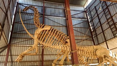 بالصور.. جولة في متحف 