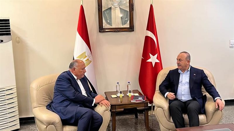 وزير الخارجية و نظيره