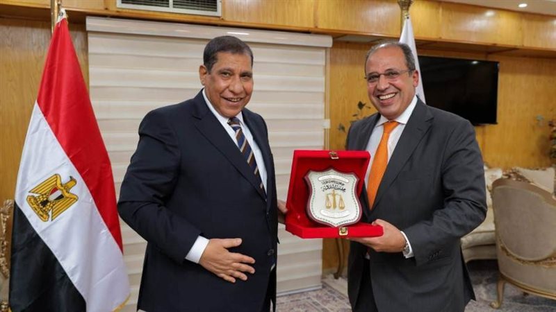 مجلس الدولة