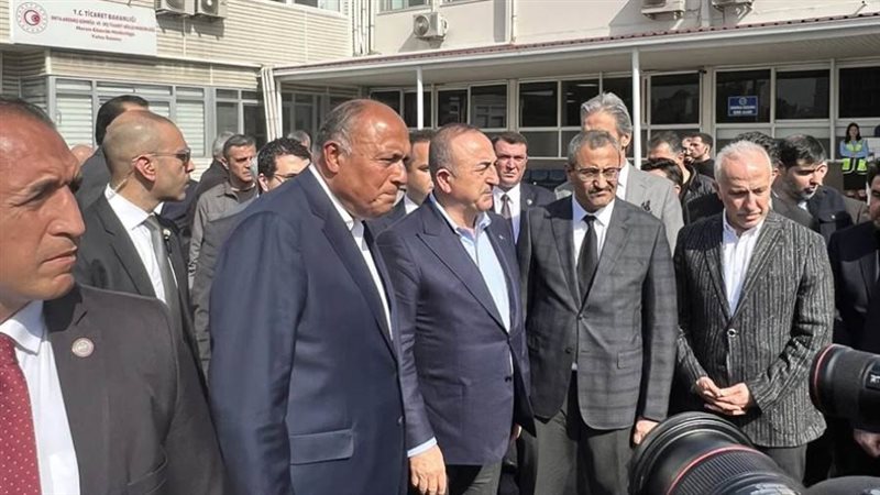 شكري ونظيره التركي