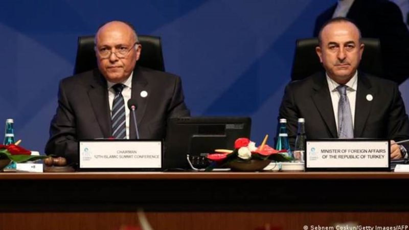 سامح شكري مع وزير