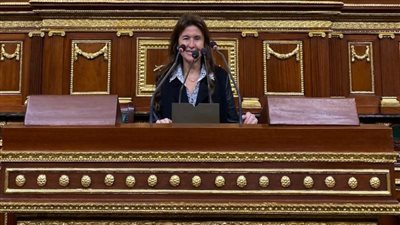 برلمانية: تعديلات قانون استيراد السيارات هدفها مزيد من التيسيرات ومعالجة المعوقات السابقة