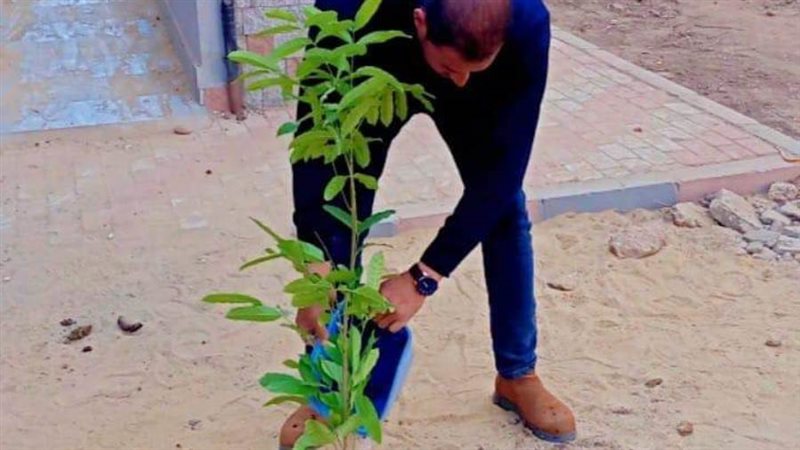 زراعة أشجار مثمرة