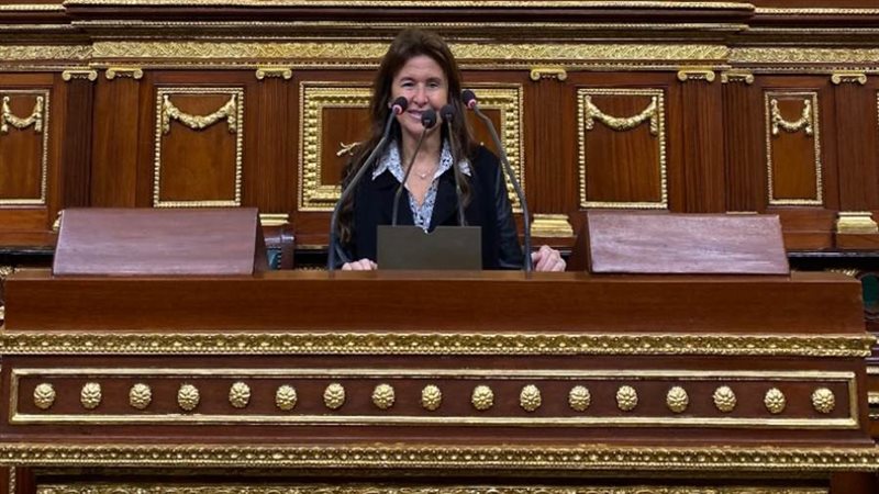 النائبة شيرين عليش