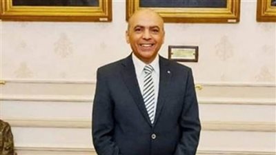 برلماني: قرارات الرئيس تعكس حرصه على حماية الأسر المصرية من التداعيات الاستثنائية الراهنة