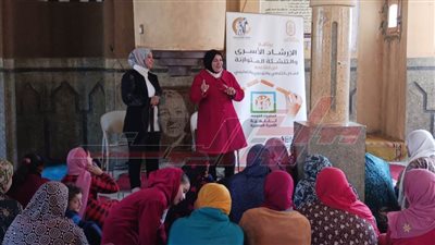 القومي للمرأة بكفر الشيخ ينفذ برنامج الإرشاد الأسري بقرى 