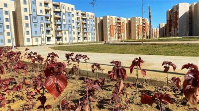 باقي 24 ساعة.. استلام شقق دار مصر في 4 مدن جديدة