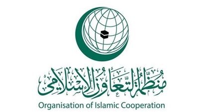 مصر تحتضن أكبر دورة لأشهر مقدمي برامج 