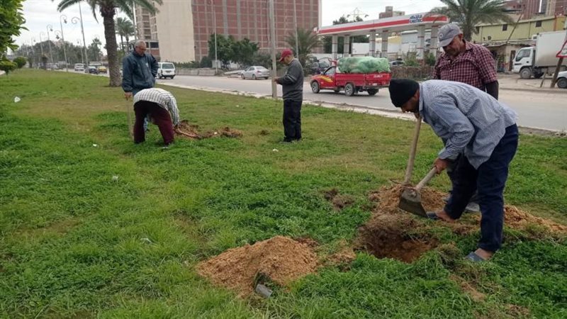 المبادرة الرءيسية