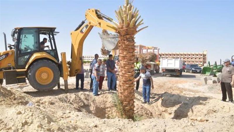 زراعة 52 ألفا و688