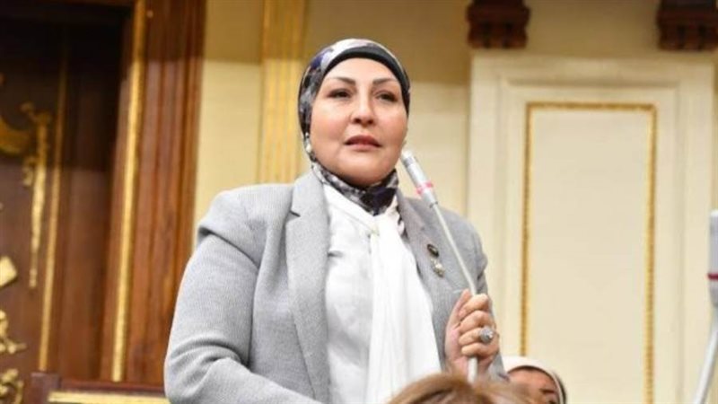 النائبة هالة أبو