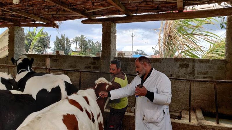 الحملة القومية للتحصين