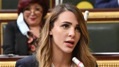 النائبة فاطمة سليم تتقدم بسؤال لوزير التعليم العالي بشأن الاستفادة من أفكار الشباب البحثية بالجامعات
