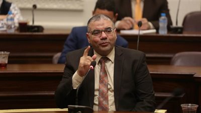 برلماني بالقليوبية يدين التدخل السافر من البرلمان البلجيكي في الشأن المصري