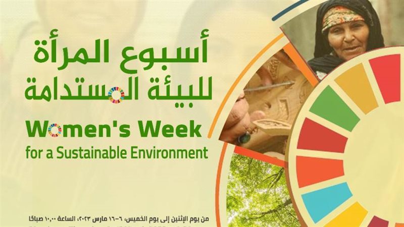 ورشة عمل تنمية المراه