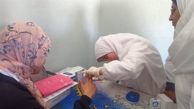 مبادرة الرئيس السيسي