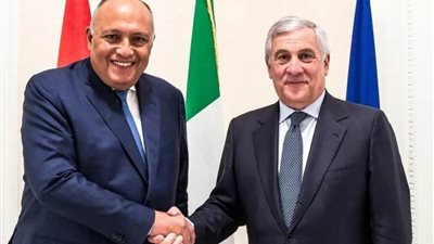 تاياني: أمن إسرائيل أولوية ولكن يجب المضي قدما في حل الدولتين