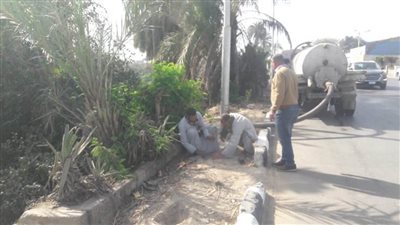 زراعة أشجار مثمرة وأخرى للزينة بمركزي مغاغة وديرمواس ضمن مبادرة 100 مليون شجرة