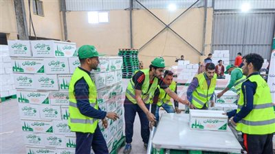 الأورمان: تجهيز وتعبئة كراتين رمضان لتوزيعها على الأولى بالرعاية بكفر الشيخ 