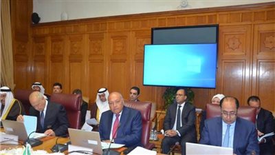 شكري يترأس لجنة متابعة التدخلات التركية في الشؤون الداخلية للدول العربية