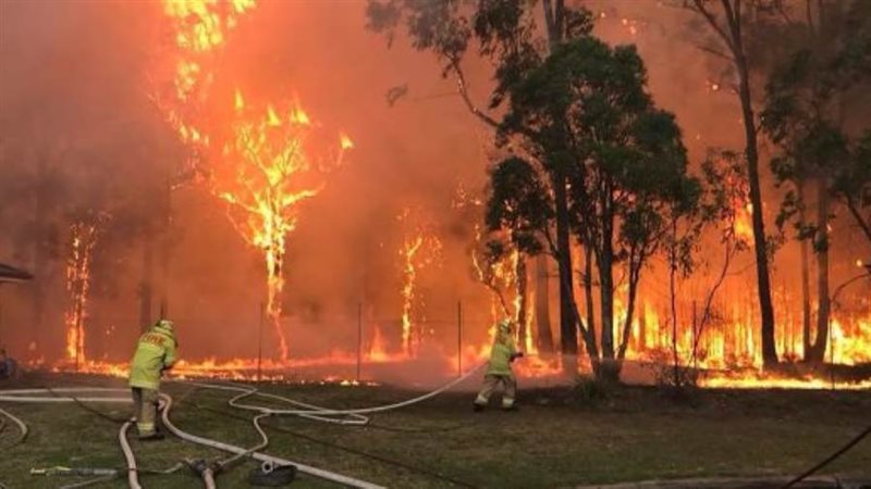 حرائق الغابات