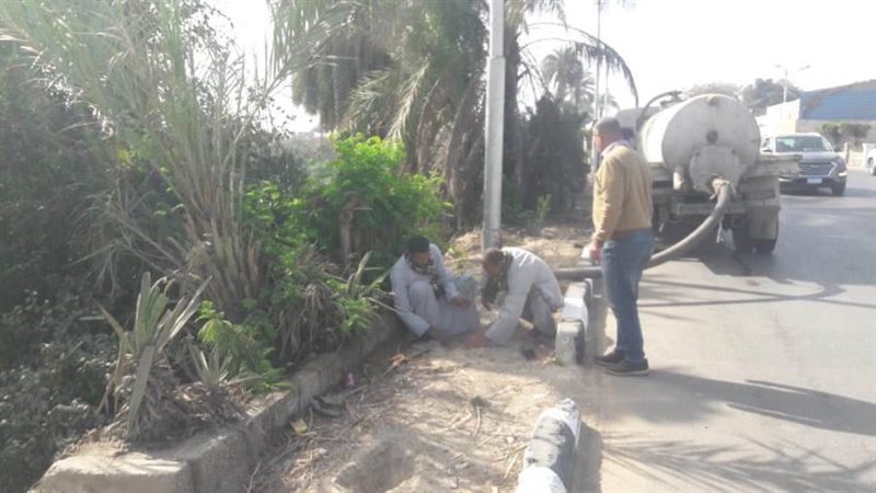 زراعة الأشجار المثمرة